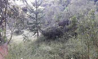 Imagem 6: Sítio Pacau 24 hectares - Sítio 22 Hectares Liberdade