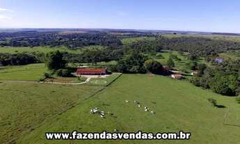 Imagem 3: Fazenda 25,5 alqueires próximo a Alexânia GO.(Corumbá de Goiás