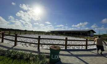 Imagem: FAZENDA REAL - LOTE M.C