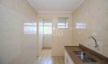 Imagem 7: São Paulo - Apartamento Padrão - Tremembé