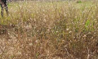 Imagem 2: Agio lote Terreno / lote com venda por R$36.000