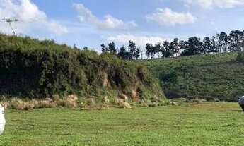 Imagem: Lote/Terreno para venda tem 600 metros quadrados