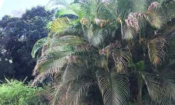 Imagem: Sala dois quartos