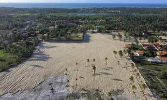 Imagem 2: Lotes Em Icaraizinho De Amontada A 1Km Da Praia . incontinente