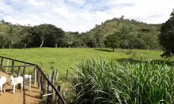 Imagem 4: Fazenda 45 alqueires A 58 km de Palmas