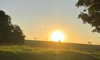 Imagem 5: Chácara em Tupã