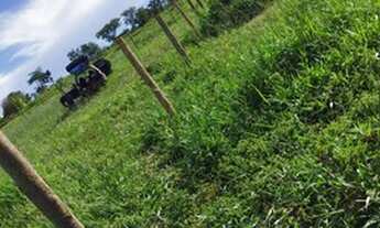 Imagem 5: Vendo chácara 2 mil metros saída para monte Alegre de minas