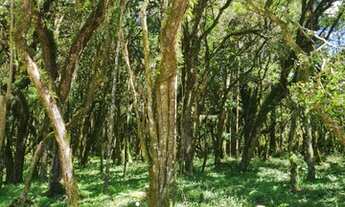 Imagem 5: Imóveis Altos da Serra <br>-Terreno a venda a partir de 40% de entrada e o restante