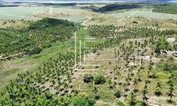 Imagem 7: Área de 40.000m² para venda em Jequiá da Praia - AL