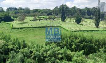 Imagem 5: SãO PAULO - Padrão - Vila Sofia