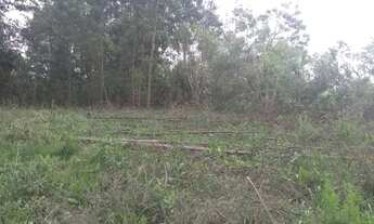 Imagem 3: Vendo terreno 660 mrts 12 por 30