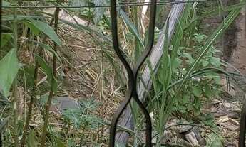 Imagem 2: Barracão 4 cômodos, varandas quintal 20m²