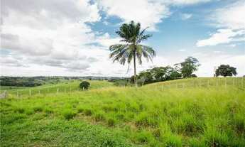 Imagem 5: Sítio a venda em Santo Antônio de Jesus