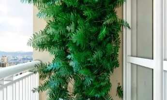 Imagem 3: Apartamento para venda com 42 metros quadrados com 2 quartos em Alberto Maia - Camaragibe