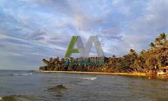 Imagem 3: Terreno à venda no bairro Barra Grande - Maraú/BA