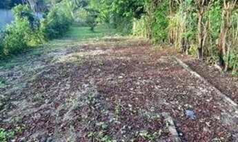 Imagem 3: Oferta imperdível - Terreno 9×40 pronto para construir em Paulista