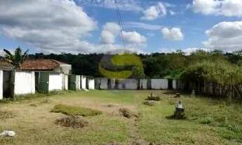 Imagem 3: Casa jardim colibri