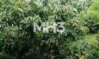 Imagem 2: Chácara - Centro - Jacutinga