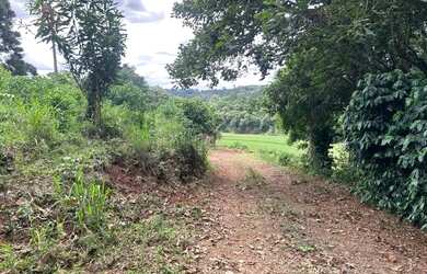 Imagem 16: Chácara de 7,4 hectares em Ibema, próximo a cidade!