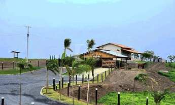 Imagem 7: Fazenda de 238 Alqueires em Pirenópolis