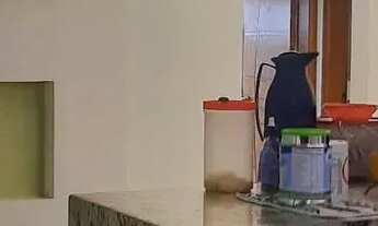 Imagem 2: Excelente apartamento amplo de 2 quartos com vaga de garagemem Colubande - São Gonçalo - R