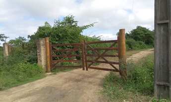 Imagem 3: Casa Grande com terreno e árvores frutíferas