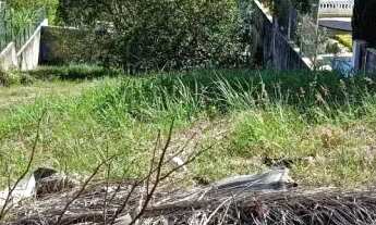 Imagem 6: TERRENO - CONDOMÍNIO FLAMBOYANT-B - SP