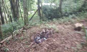 Imagem 2: Vendo Área com 900m , faço 35 mil de entrada, próximo, 11km Curitiba