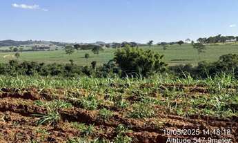 Imagem 6: Fazenda de 605 hectares à venda - Ibaté