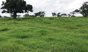 Imagem 5: Terreno a venda Terreno / lote com venda por R$1.000.000