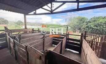 Imagem 4: Área à venda, 130000 m² por R$ 2.200.000,00 - César Bastos - Rio Verde/GO