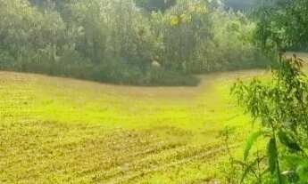 Imagem 6: Vendo chácara - terreno 2 alqueires - Campo Largo