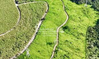 Imagem 3: Fazenda em Pilar- AL com 26 hectares na zona da Mata