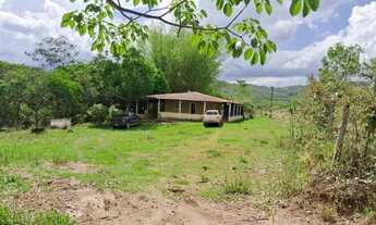 Imagem 3: SÍTIO DE 25 HECTARES, PONTE ALTA SUL