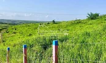 Imagem: Fazenda em Pilar- AL com 26 hectares na