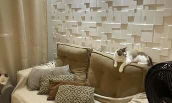 Imagem 4: Alugo apartamento mobiliado em Camaçari próx ao shopping