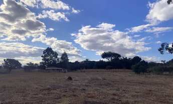 Imagem 3: VENDO CHÁCARA NO INCRA 7, 2HECTARES, LEIA A DESCRIÇÃO!!!