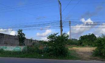 Imagem: Excelente terreno para abri o seu negócio