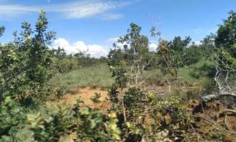 Imagem 8: Fazenda a venda Fazenda / sítio com venda por R$15.000.000