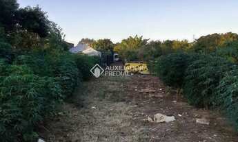 Imagem 2: Excelente terreno de 260 m² no bairro Fátima - Canoas