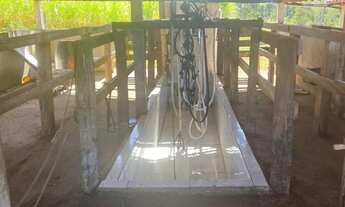 Imagem 6: SÍTIO À VENDA - PRÓXIMO A FLOR DE MINAS GURINHATA - Água em Abundância - R$ 2.000.000,00