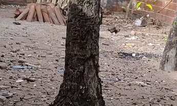 Imagem 5: Casa com terreno na zona norte