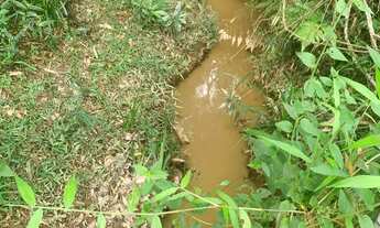 Imagem 6: Vende-se Sítio de 5700m