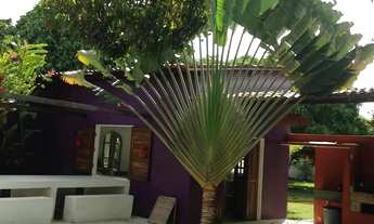 Imagem 5: MARAVILHOSA AREA - A 500 MT DA PRAIA -PARIPUEIRA