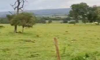 Imagem 3: Sítio próximo Uberlândia colégio agrícola