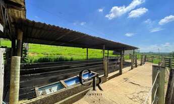 Imagem 6: Chácara a 3Km de Bela Vista - GO