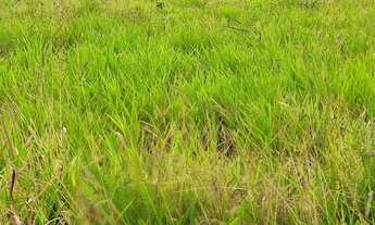 Imagem: Ágio lote top do parque