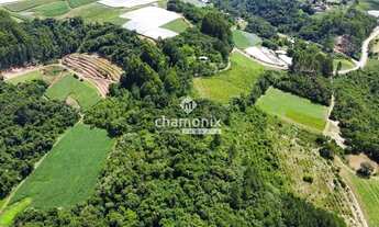 Imagem 5: Chácara com Vista para o Vale (5 hectares