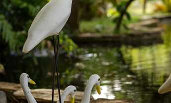 Imagem 2: Chácara de aluguel eventos