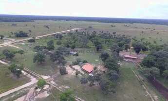 Imagem 7: FAZENDA À VENDA PANTANAL MATO-GROSSENSE